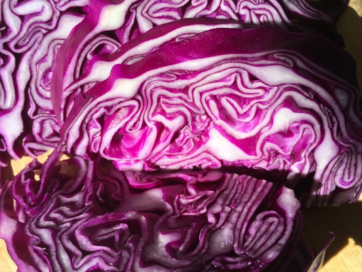 cavolo rosa crudo